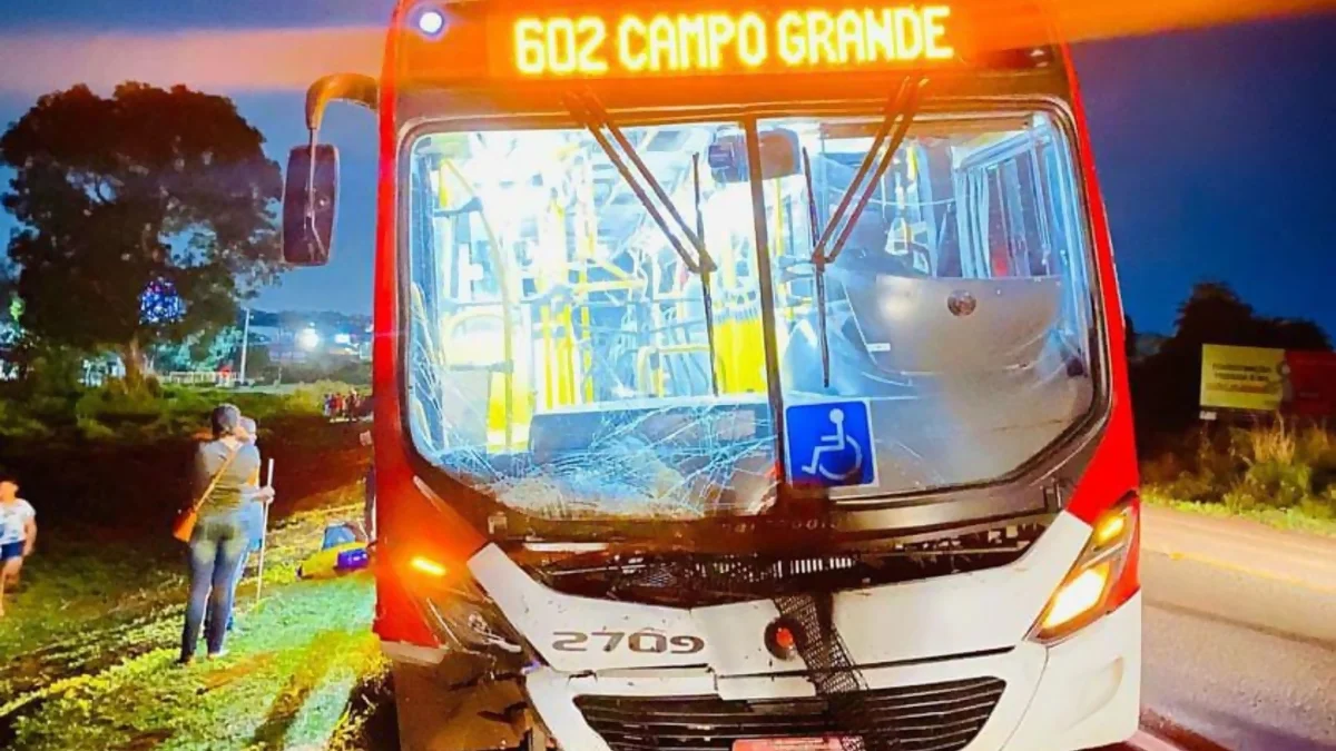 Ônibus atropela e mata bovino na BR-163, em Campo Grande (MS)
