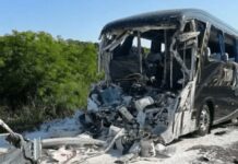 Ônibus bate na traseira de carreta na BR-369, no PR, e motorista morre