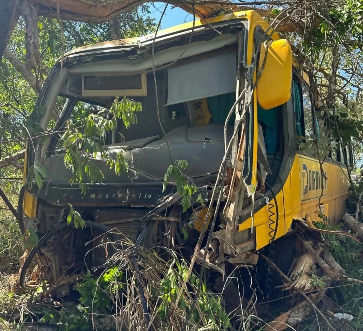 Colisão de carro com ônibus com trabalhadores rurais mata 1 na MG-188