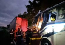 Motorista de ônibus morre na Fernão Dias (BR-381), em Oliveira (MG)