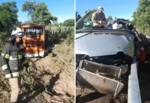 VÍDEO: Acidente na BR-020/GO com ônibus e van mata 4 e deixa 3 feridos