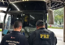 Operação da PRF flagra ônibus clandestino na BR-116, em SP