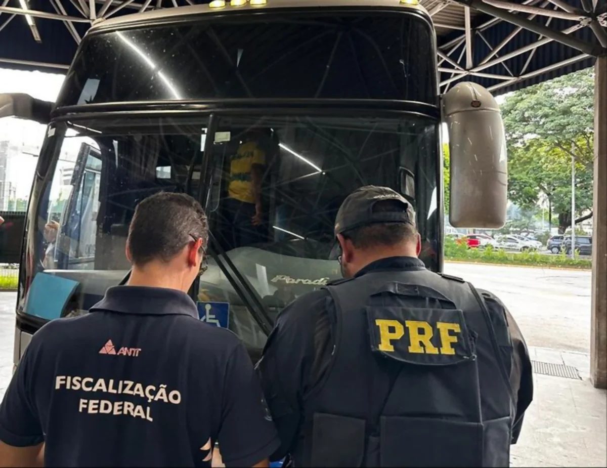 Operação da PRF flagra ônibus clandestino na BR-116, em SP