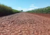 Paraná vai recuperar rodovias de Campina da Lagoa com pavimento poliédrico