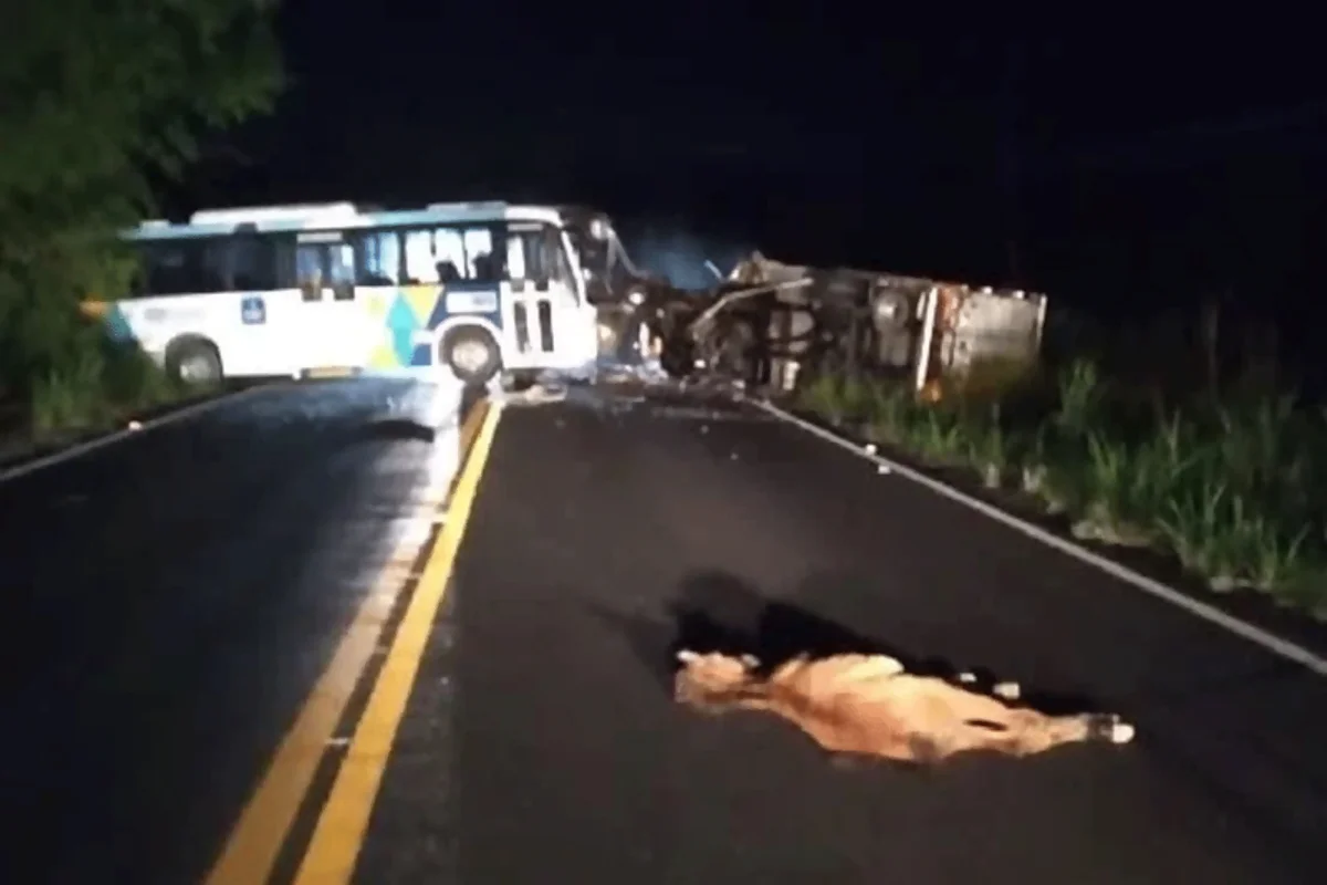 Motorista de ônibus morre após bater de frente com caminhão na BA-522
