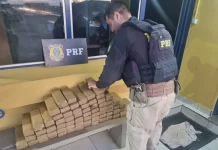 Polícia descobre drogas durante atendimento à sinistro na BR-050, em Minas