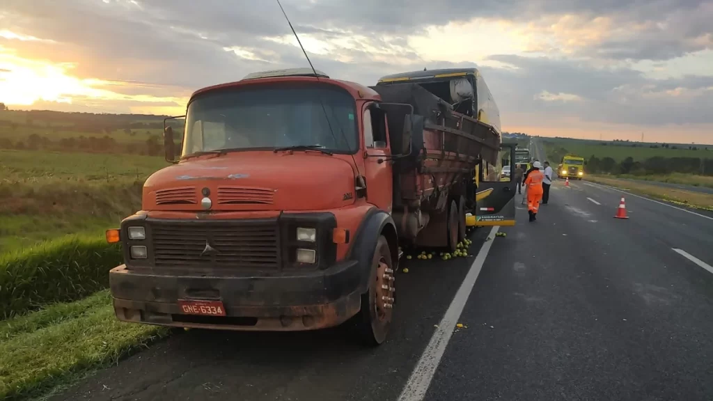 Motoristas morrem em colisão de ônibus da GIPSYY com caminhão na BR-050/MG