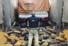 Caminhoneiro é preso na BR-369/PR com 2 toneladas de maconha