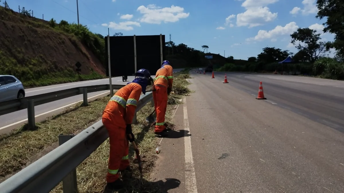 Rodovias estaduais do Sul de Minas recebem serviços de manutenção nesta semana