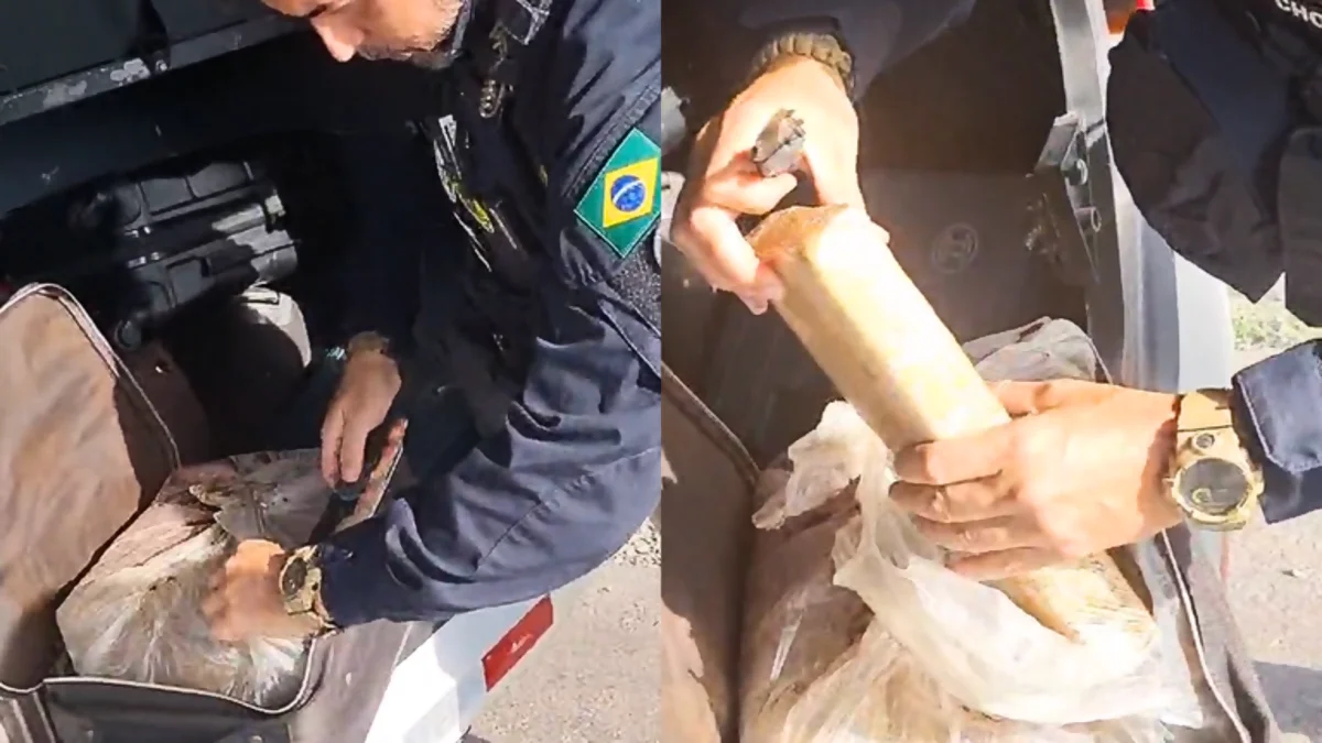 Passageira de ônibus é detida com 10kg de maconha, em São Luís do Maranhão
