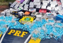 Polícia apreende quase 2 mil pinos com cocaína na BR-365/MG