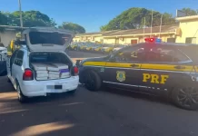VÍDEO: PRF prende 4 pessoas com maconha em duas ocorrências no Paraná