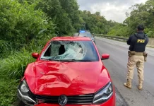 PRF prende trio que atropelou e matou andarilho na BR-277, no Paraná