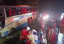 Colisão entre 2 ônibus deixa 5 feridos na BR-251, em Francisco Sá (MG)