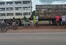 Idoso morre prensado entre dois caminhões na BR-316, no Maranhão