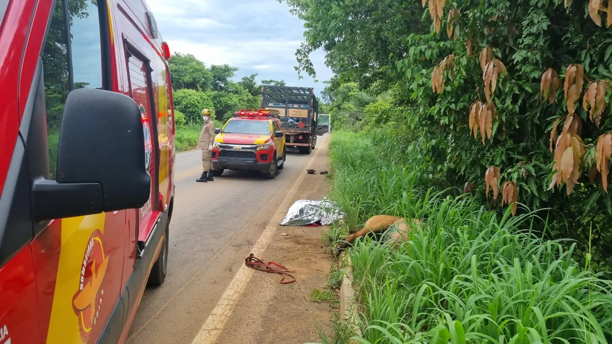 Criança morre atropelada por caminhão de gás na GO-118