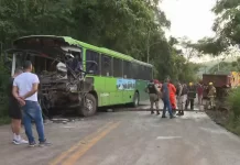 Motorista de ônibus metropolitano morre em colisão com carreta na MG-435, em Caeté