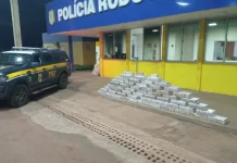Caminhoneiro é preso com "rebites" e cocaína na BR-364, em Mato Grosso