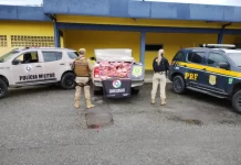 PRF e Polícia Militar de SC apreendem 290 kg de maconha, em Joinville