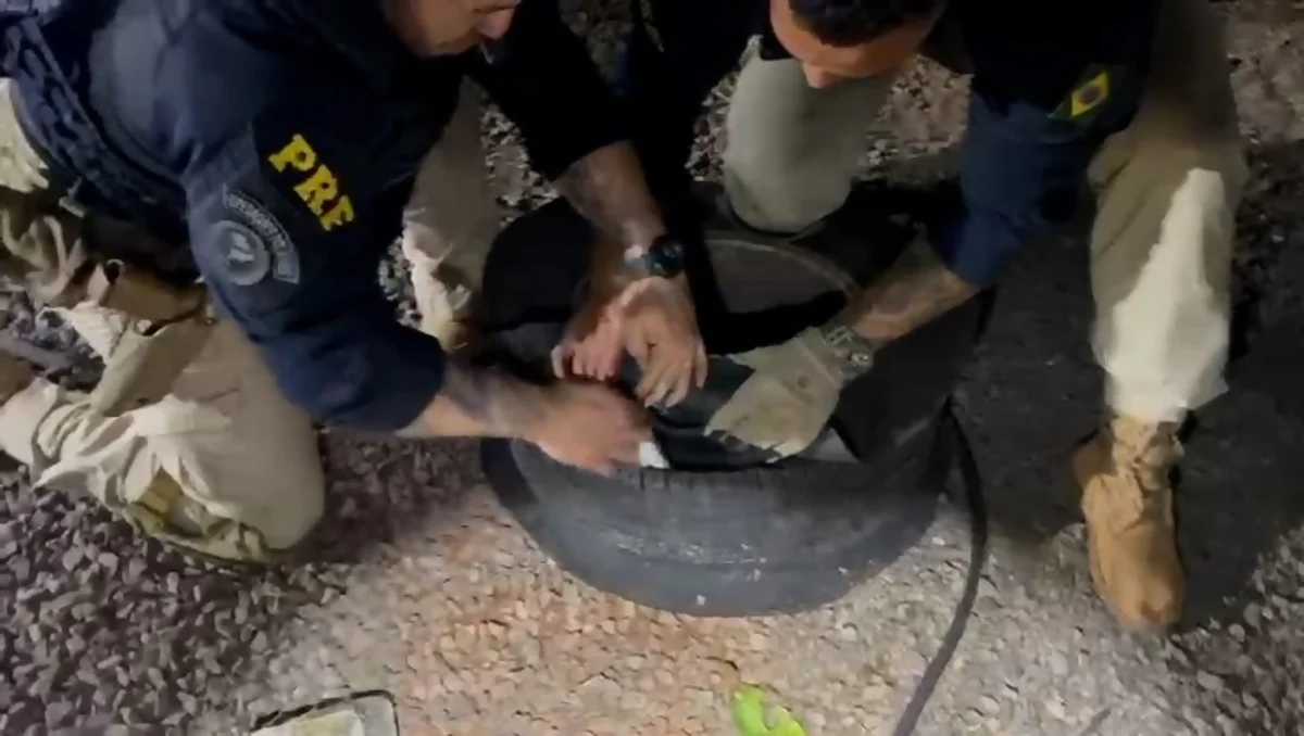 VÍDEO: Cães farejadores da PM-PR descobrem cocaína escondida dentro de pneu