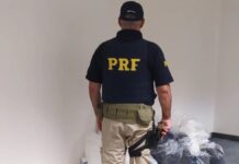 Ação da PRF, PF e PMSC apreende carga de cocaína em Balneário Camboriú (SC)