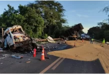 VÍDEO: Acidente na BR-163/MT entre carretas e carro mata 5 pessoas