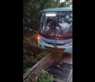 VÍDEO: Susto na Estrada Real: ônibus quase despenca em ribanceira na MG-129