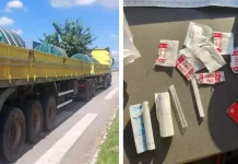 Caminhoneiro encontrado morto com cocaína na Fernão Dias era da Brasil Novo