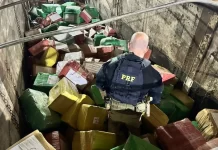 VÍDEO: PRF faz a maior apreensão de drogas na BR-163, em Santa Lúcia (PR)
