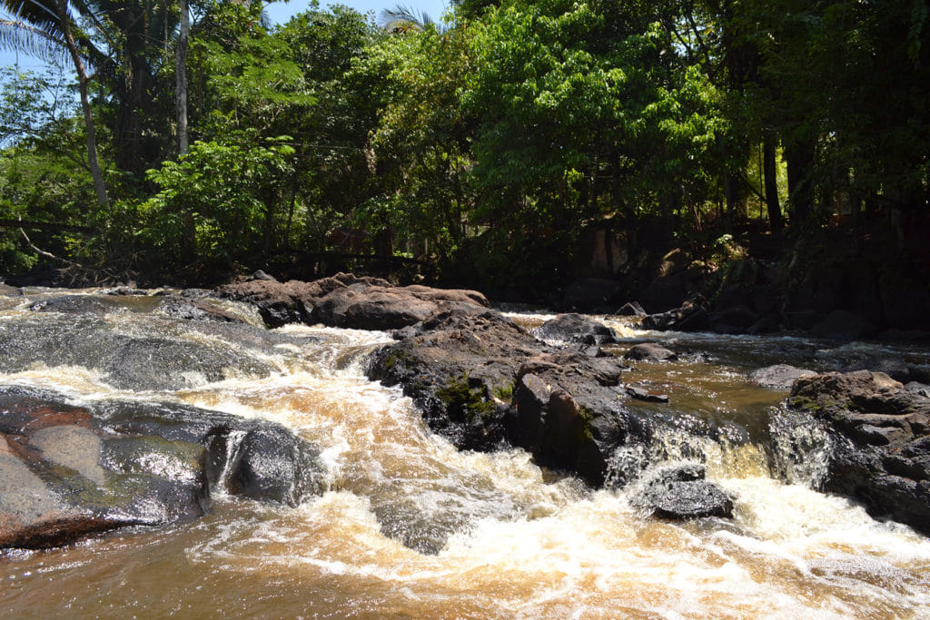 Trairão, no Pará, revela-se no desenvolvimento econômico, turismo e na gastronomia