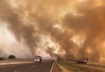 PRF alerta sobre o risco de queimadas em rodovias PRF alerta sobre o risco de queimadas em rodovias