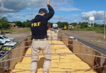PRF do Piauí realiza a maior apreensão de cocaína do ano no Brasil