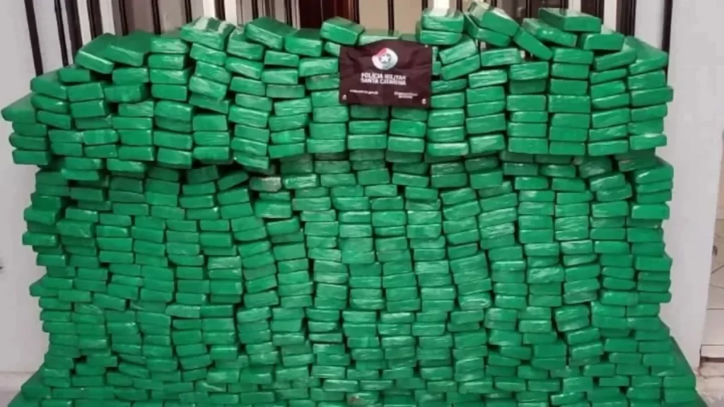 Polícia Militar Rodoviária de SC apreende 680 kg de drogas na SC-160