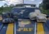 PRF flagra novamente em estradas federais passageiros de ônibus transportando drogas