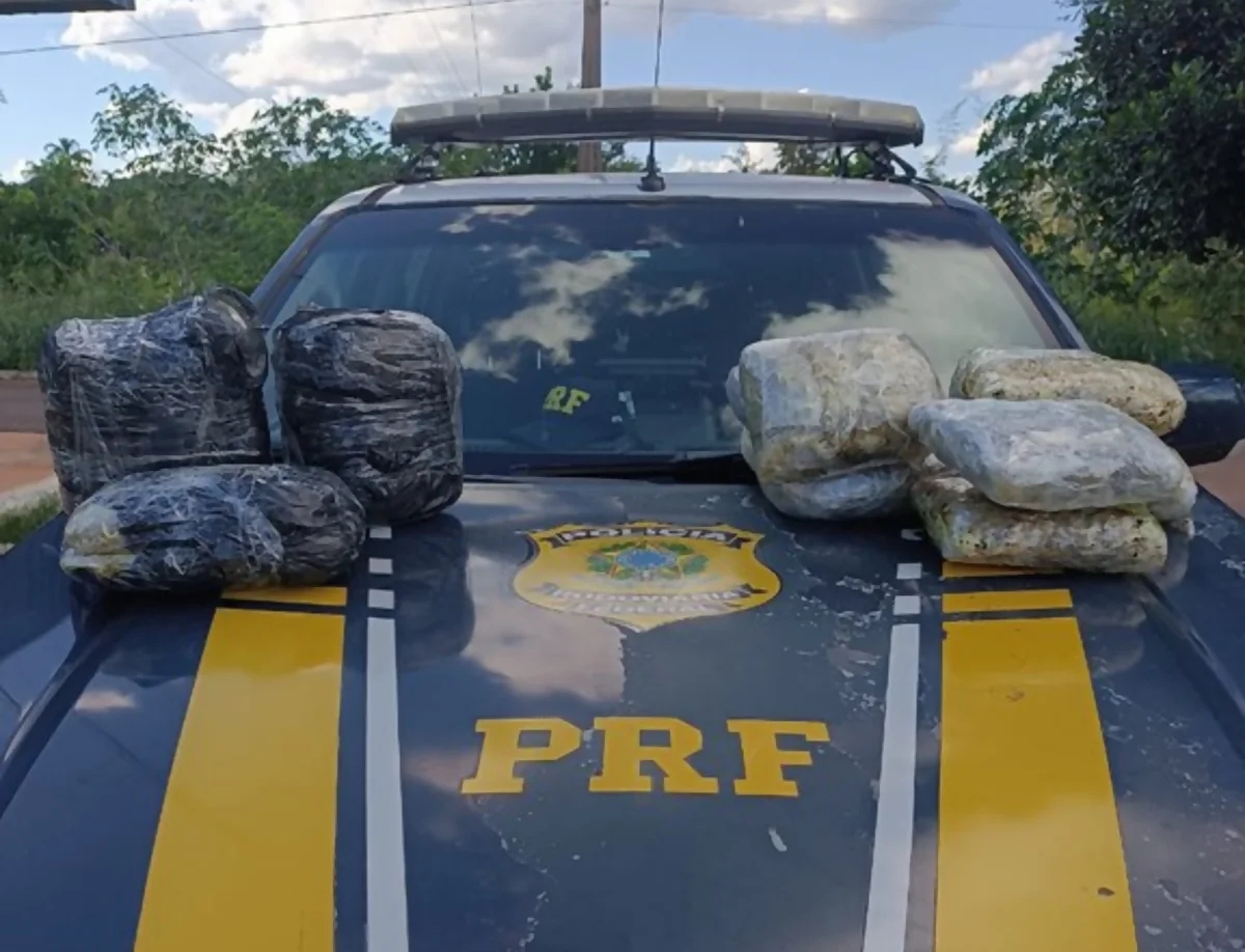 PRF flagra novamente em estradas federais passageiros de ônibus transportando drogas