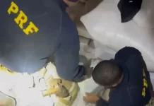 PRF apreende mais de 1,8 tonelada de maconha escondida em carga de arroz, no PR PRF apreende mais de 1,8 tonelada de maconha escondida em carga de arroz, no PR