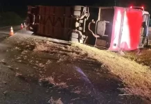 Ônibus tomba na SP-340 com 37 estudantes, em Mococa, e 7 ficam feridos Ônibus tomba na SP-340 com 37 estudantes, em Mococa, e 7 ficam feridos