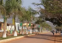 Trairão, no Pará, revela seu potencial após melhorias da BR-163 Trairão, no Pará, revela-se no desenvolvimento econômico, turismo e na gastronomia