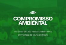 Via Brasil BR-163 promove treinamentos de manejo de fauna silvestre com colaboradores