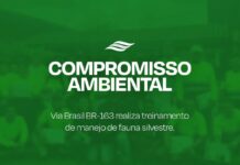 Via Brasil BR-163 promove treinamentos de manejo de fauna silvestre com colaboradores Via Brasil BR-163 promove treinamentos de manejo de fauna silvestre com colaboradores