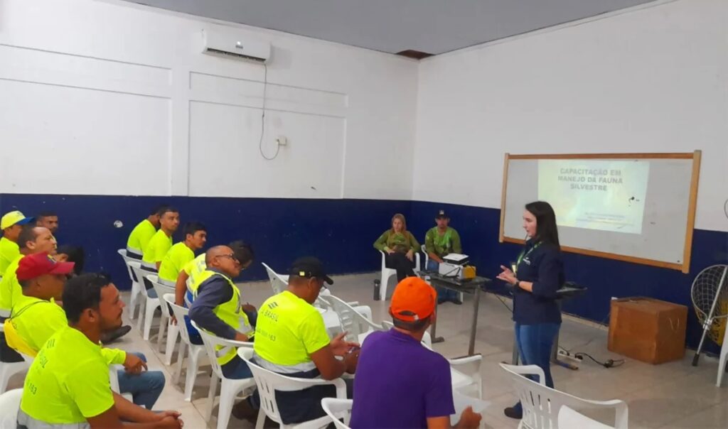 Via Brasil BR-163 promove treinamentos de manejo de fauna silvestre com colaboradores