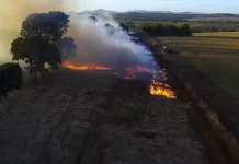 VÍDEO: PRF flagra queimada criminosa às margens da BR-153, em Goiás VÍDEO: PRF flagra queimada criminosa às margens da BR-153, em Goiás