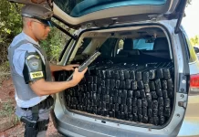 Motorista foge da polícia na SP-272 e ‘deixa para trás’ 500 kg de maconha Motorista foge da polícia na SP-272 e 'deixa para trás' 500 kg de maconha