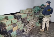 Vídeo: Carga de ração de cachorro escondia mais 7 toneladas de maconha Vídeo: Carga de ração de cachorro escondia mais 7 toneladas de maconha