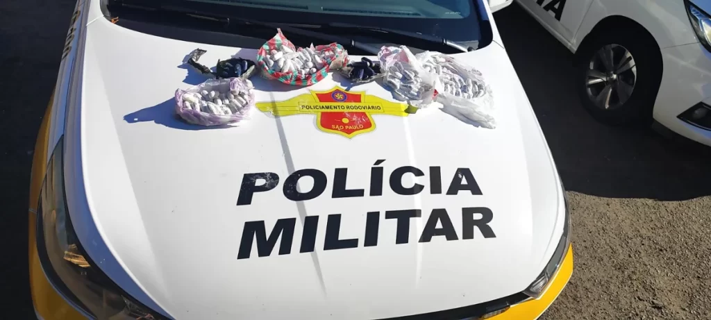 Mulheres bolivianas são presas por tráfico de drogas em ônibus na SP-270