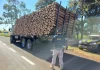 Caminhão é flagrado na BR-369/PR transportando toras de madeira sem amarração