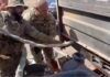 VÍDEO: Caminhoneiro é preso ao ser flagrado com 200 kg de drogas na BR-060-GO