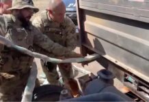VÍDEO: Caminhoneiro é preso ao ser flagrado com 200 kg de drogas na BR-060/GO VÍDEO: Caminhoneiro é preso ao ser flagrado com 200 kg de drogas na BR-060-GO