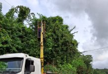 Sindicato dos cegonheiros faz poda de árvores que aumenta a segurança nas rodovias Sindicato dos cegonheiros faz poda de árvores que aumenta a segurança nas rodovias