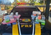 Passageira é presa com 29,4 kg de maconha em ônibus, em Guaraí (TO) Passageira é presa com 29,4 kg de maconha em ônibus, em Guaraí (TO)